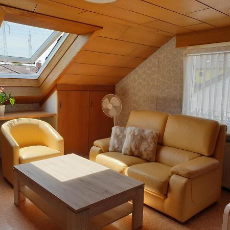 Sonnige Ruhige Dachzimmer Inkl Wifi Plus Kaffee Mit Wg Dusche Und Neuer Kueche Lorrach Ngoại thất bức ảnh